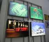 Outdoor Used Advertising LED Fabric Light Box with Aluminum