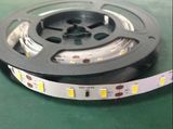 5050/5630 LED Strip Light/Ribbon Strip, 60LEDs/M IP33 DC12V