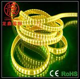 Outdoor Decoration Double Row 5050 LED Strip Light