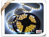 Indoor Lighting 60LEDs/M 4.8W/M IP65 Flexible LED Strip