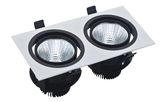 LED Downlight COB LED Light LED Ceiling Light (BL-LK-2X5W / 2X10W)