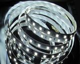 5050 SMD LED Waterproof Flexible Strip Light