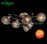 Popular Iron Ball Chandelier Lighting& Iron Lamp