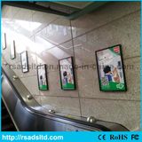 Commercial LED Advertising Display Light Box