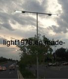 LED Street Lights with 2 Lamps Type Brlsl-D002