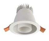 LED Down Light