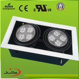 LED PAR30 Down Spot Light