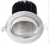 COB 30W LED Down Light From China Shenzhen