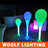 Illuminated LED Plastic Garden Lights Outdoor