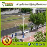 High-Quality Solar Street LED Light