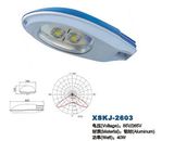 LED Street Light (XSKJ-2603)