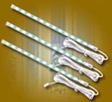 LED Light (LED1)