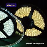 LED Strip Light 120ea/M 3528 IP65 (XHY-F2-04)