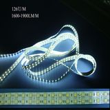 5050 Double Row Flexible LED Strip Lights