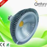 PAR30 LED