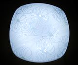 Square Narcissus 18W 20W 22W 24W LED Ceiling Light