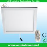 Remote Control LED Panel Light (BP60R36W)