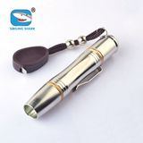 Stainless Steel LED Flashlight Profession Jade Testing Mini Flashlight