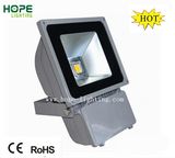 CE RoHS 100W LED Flood Light