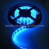 LED Light, LED Strip (XL-8Y60CWF2-35)