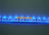 12V SMD 335 LED Strip Light for Decoration