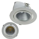 Recessed Elephant Nose 20W Down LED Light