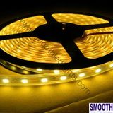 Warm White LED Strip Lights (SL-5050M-300C)