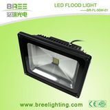 Christmas Outdoor Floodlight (BR-FL-50W-01)