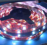 Flexible LED Strip Light 5050/3528SMD