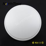 Succinct Artistic 12W LED Ceiling Light