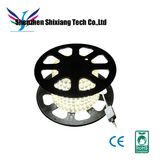 LED Strip Light, Rope Light 220V 110V