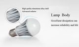 9W Lm80 CE RoHS LED Bulb/LED Bulbs/LED Bulb Light