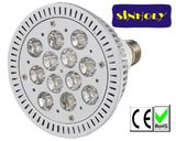 LED PAR Light / LED PAR Lamp / PAR 38 LED