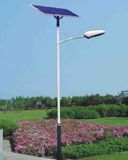 60W LED Solar Street Light Installed in Urban Garden