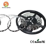 DC12-14.4V Black PCB Flexible LED Strip Light