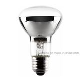 Competitive 4W/6W LED R63 Filament Bulb