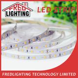 12V or 24V SMD5050 Waterproof IP65 LED Strip Light