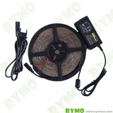 2 Years Warranty LED Strip Light