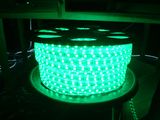 Waterproof SMD3528 LED Strip Lights 3528-60-RGB-12