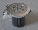 LED Down Light