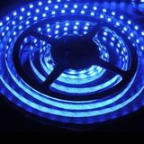 5050 60LEDs/M SMD Flexible LED Strip Light