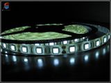 LED Strip Light 5050 Waterproof for Bar