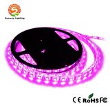 Colored Waterproof 5050 RGB LED Strip Light