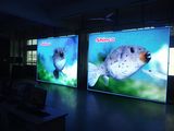 Best Price P12 LED Digital Display