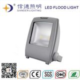 LED Flood Light 100W (SDFL2100)