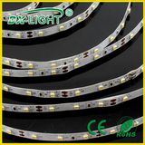 IP65SMD 3528 60LEDs LED Flexible Strip Light of Blue