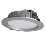 LED Down Light