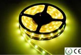 Highbrightness SMD LED Strip Light LED