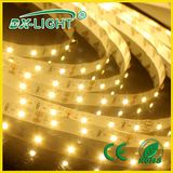 IP20 SMD 3528 60LEDs LED Flexible Strip Light of Warm White