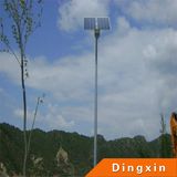 7m Pole 60W LED Street Light with Solar